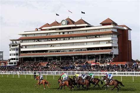 newbury races race card today|All Races at Newbury .